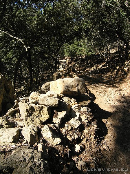 2006_11_23 11_29_39 OLYMPUS DIGITAL CAMERA         